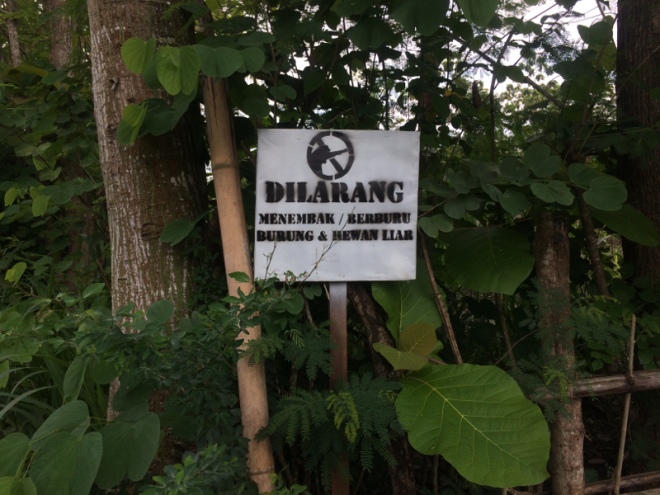 Dilarang Menembak/Berburu Burung dan Hewan Liar di Desa Grogol
